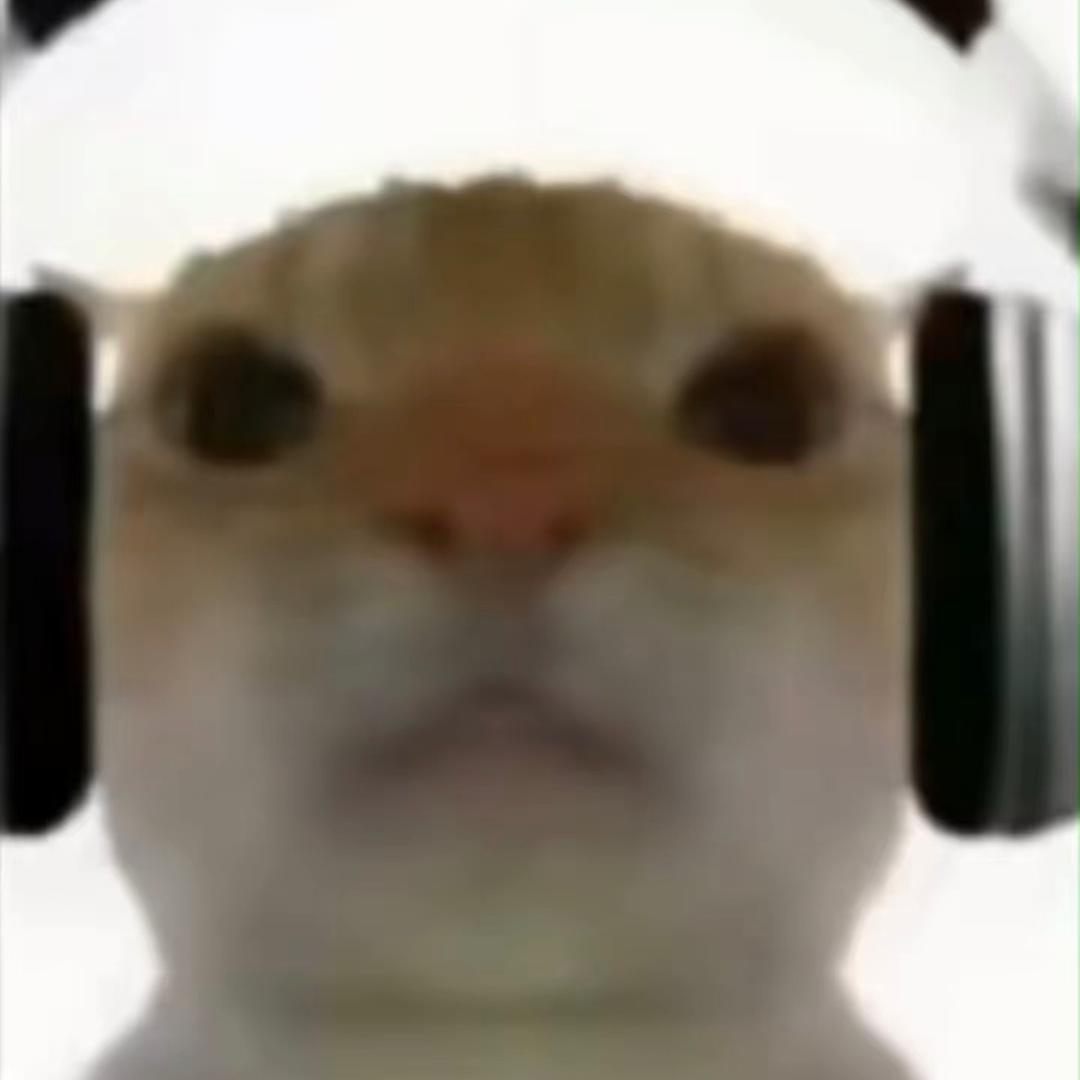 哈基米大王