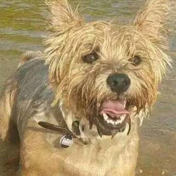 通讯录$_$🇨🇳🇨🇳🇨🇳