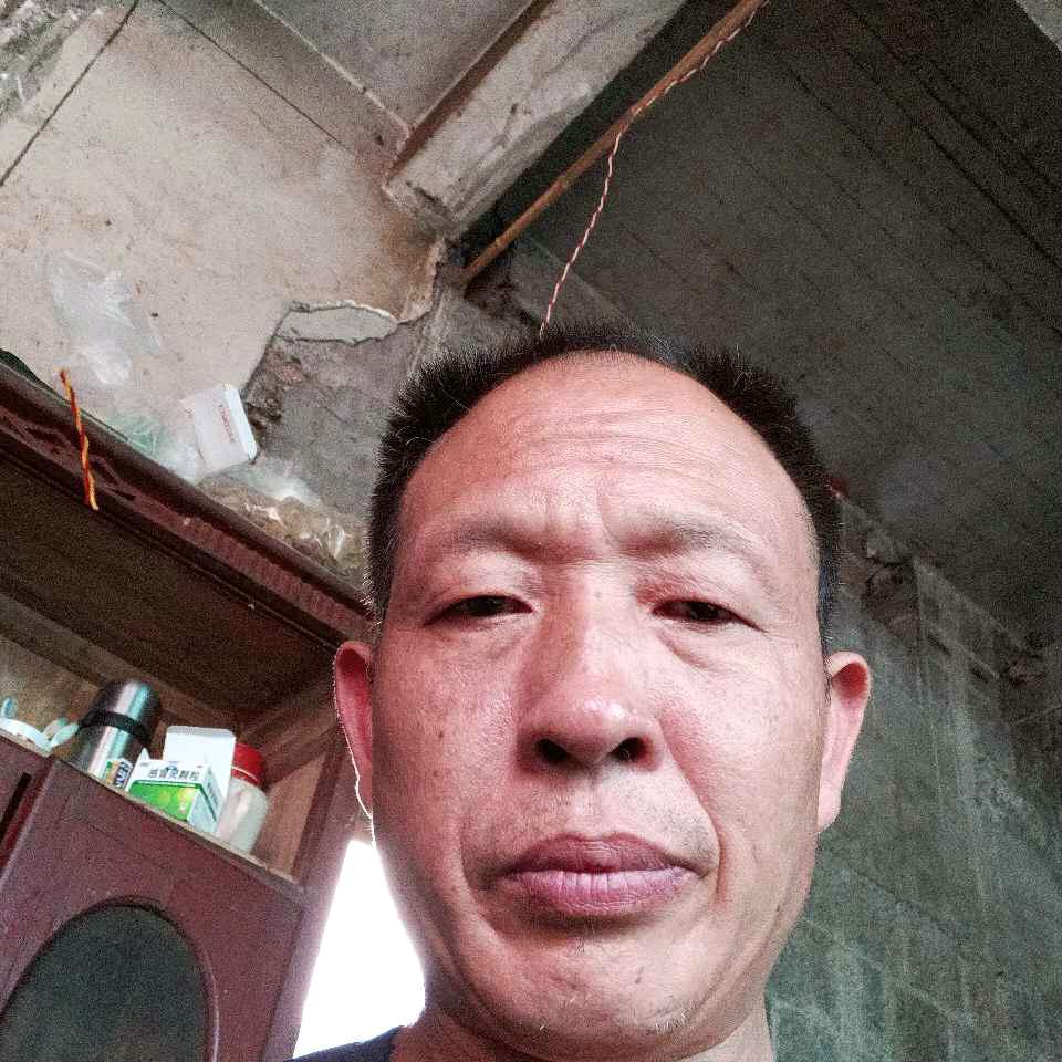 老鼠爱大米