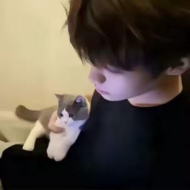 今天土蛋学习了吗