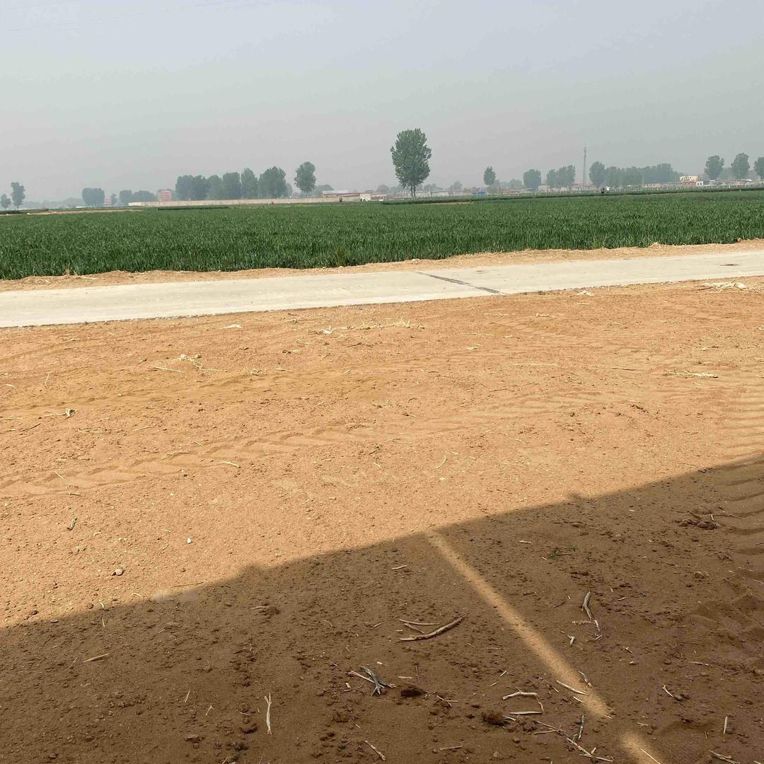 不鸣则已 一鸣惊人