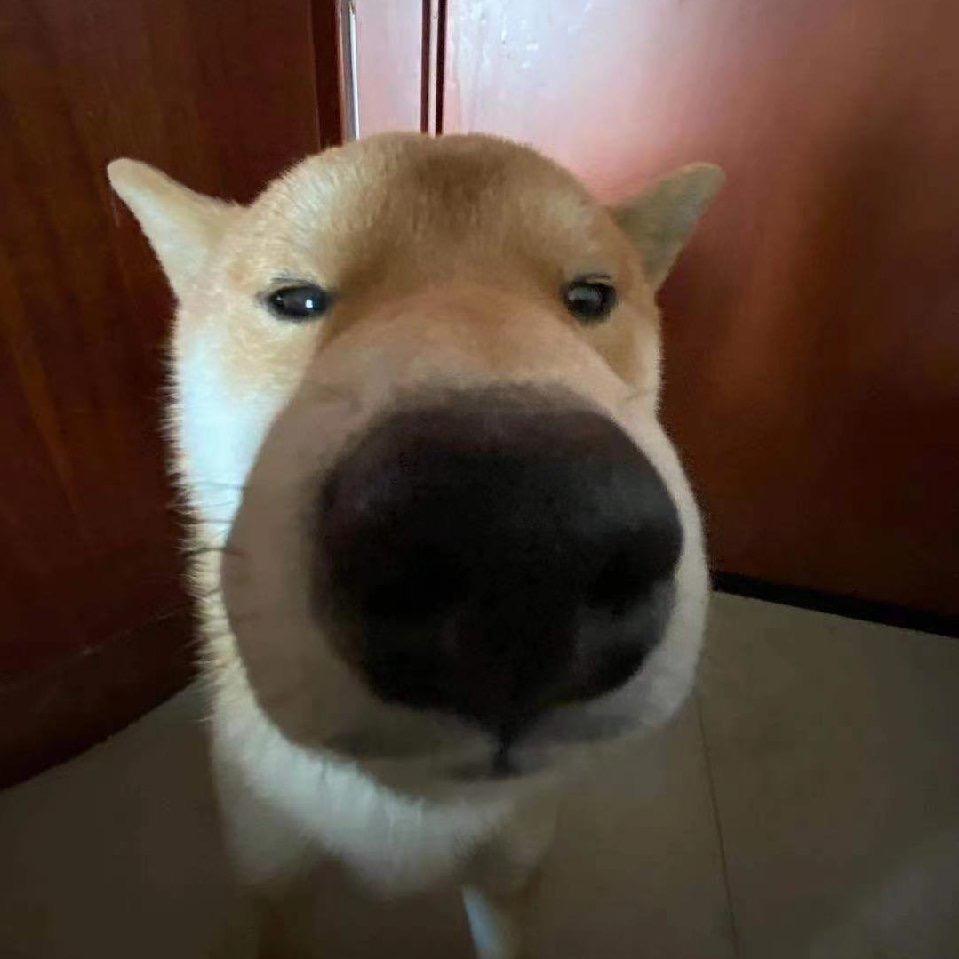 yy