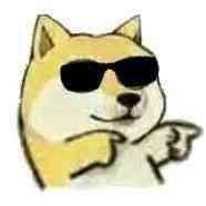 逆天灬二哈丨CS2