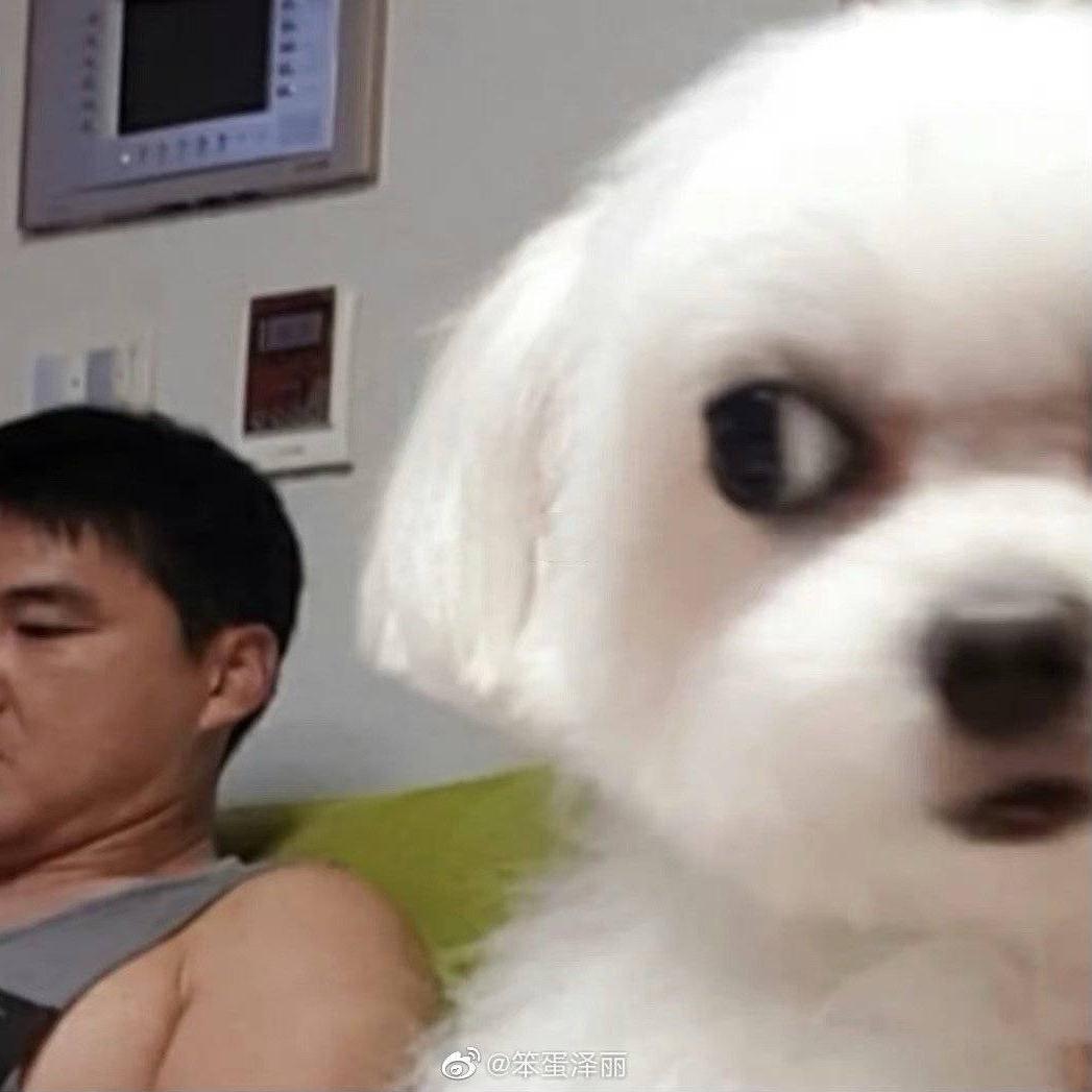 无敌药子向前冲