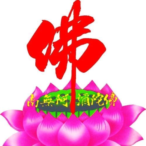 红珊瑚