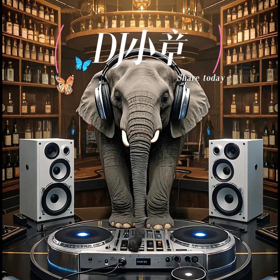 DJ小章