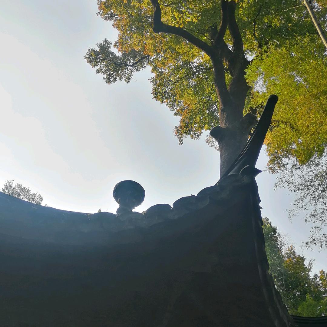 温润如玉