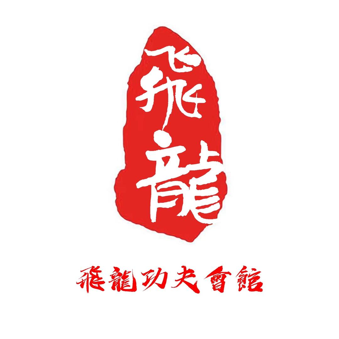 武汉飞龙功夫会馆（武术散打）