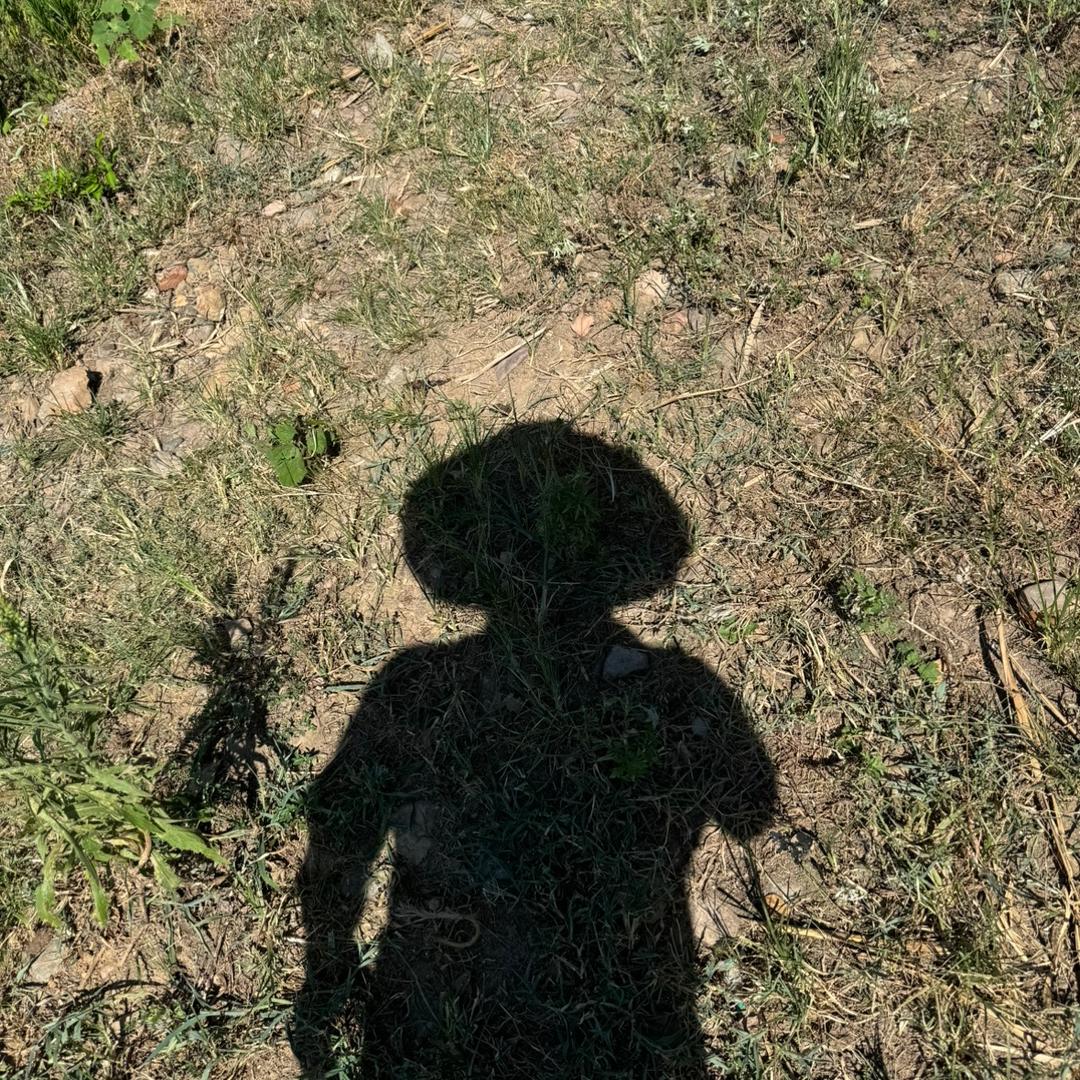 小白装修日记🏠（软装中）