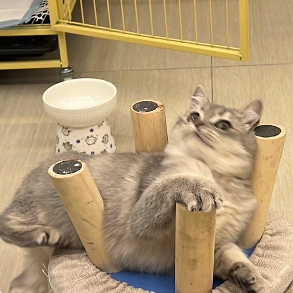 下单请找杰西卡