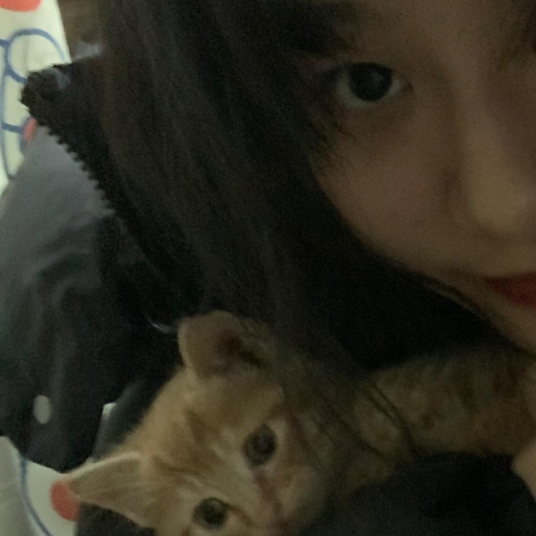 爱小🐟的小王