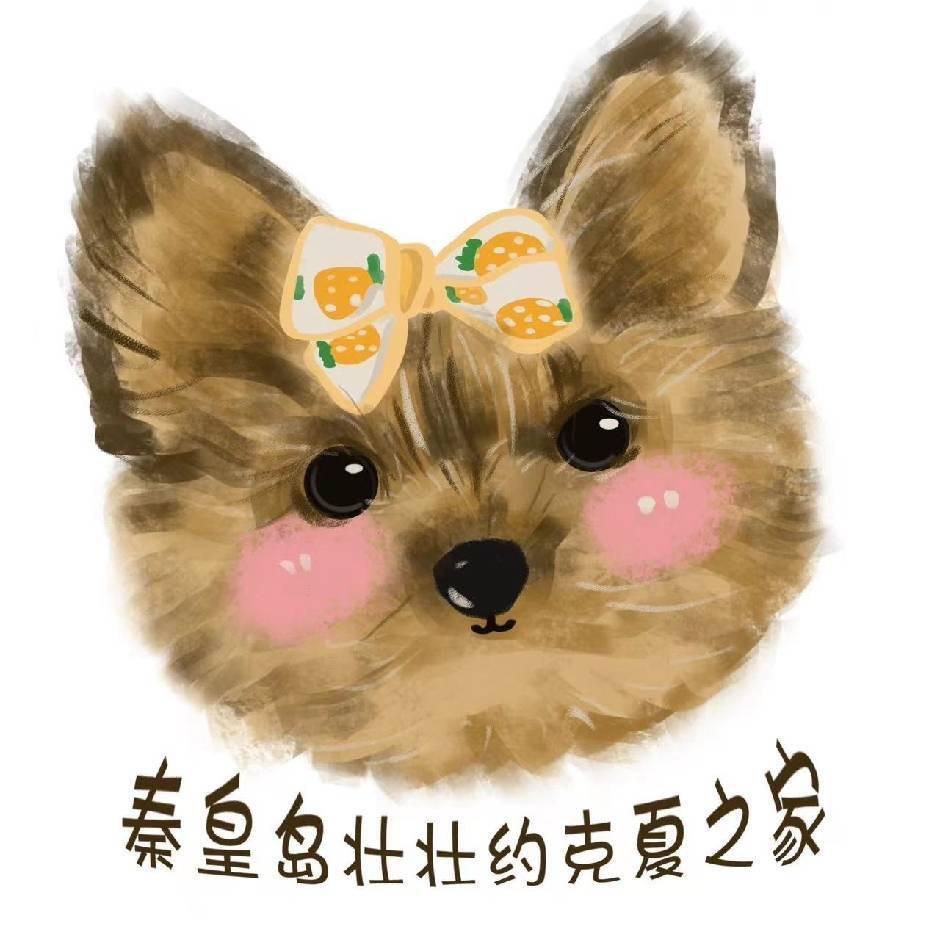 大壮约克夏