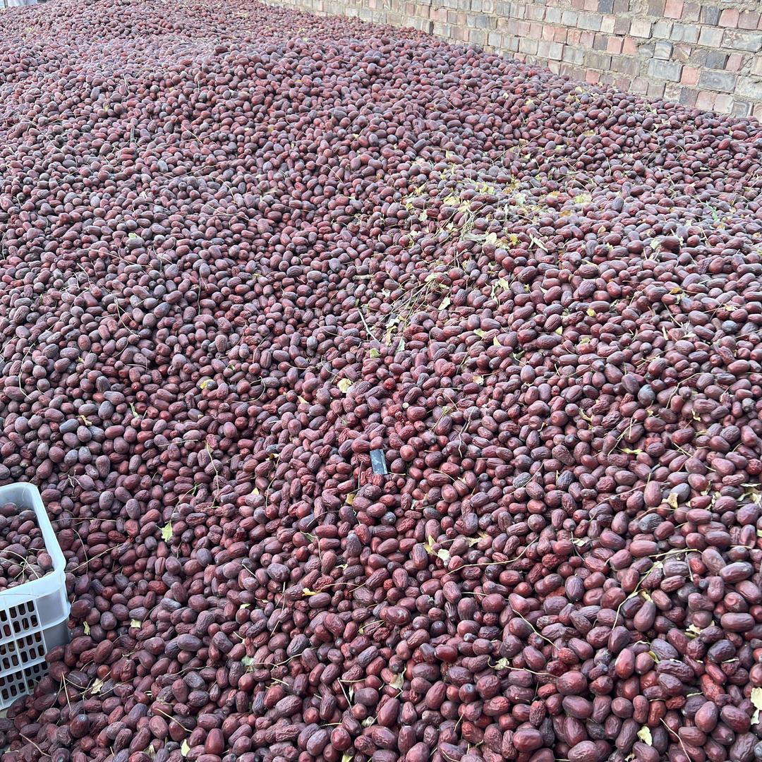 新疆和田小宋干果