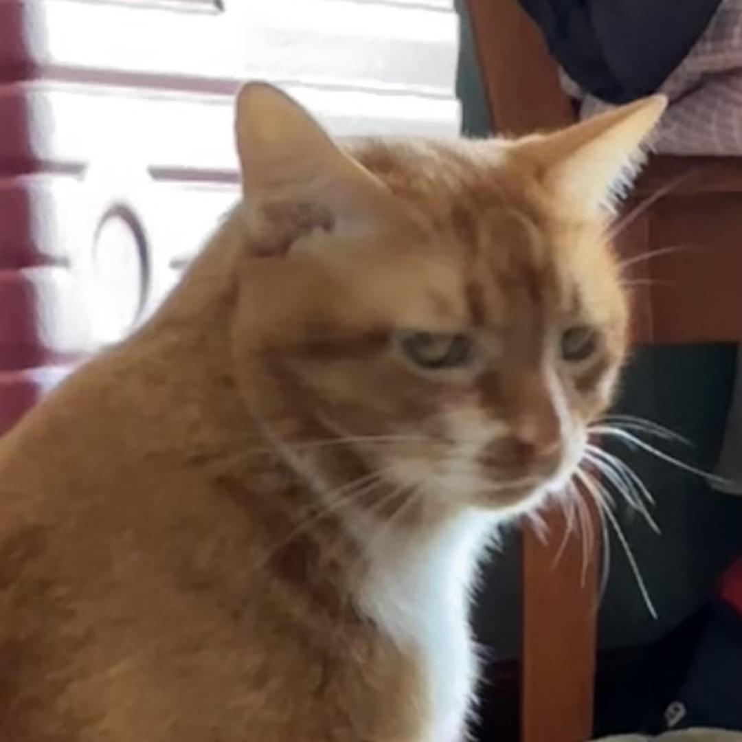 ？