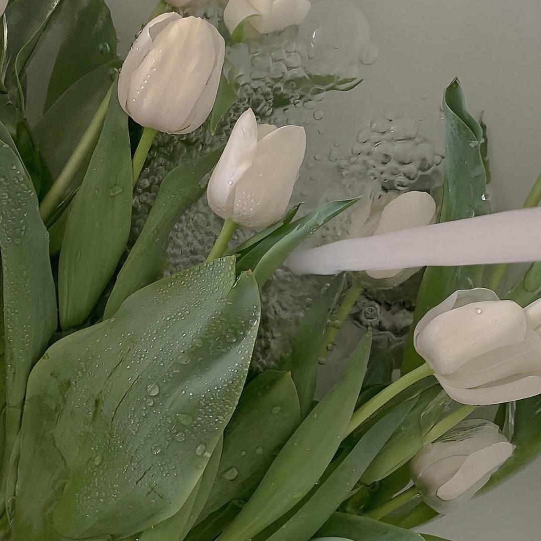 小零 Linda0️⃣0️⃣