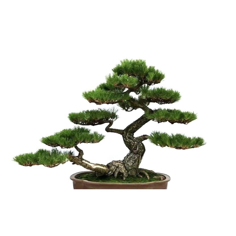 小景园艺