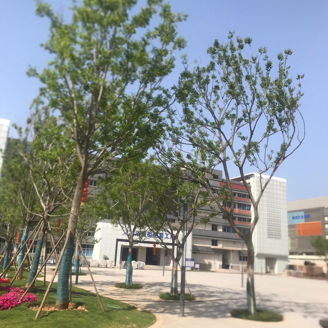 晴天明朗