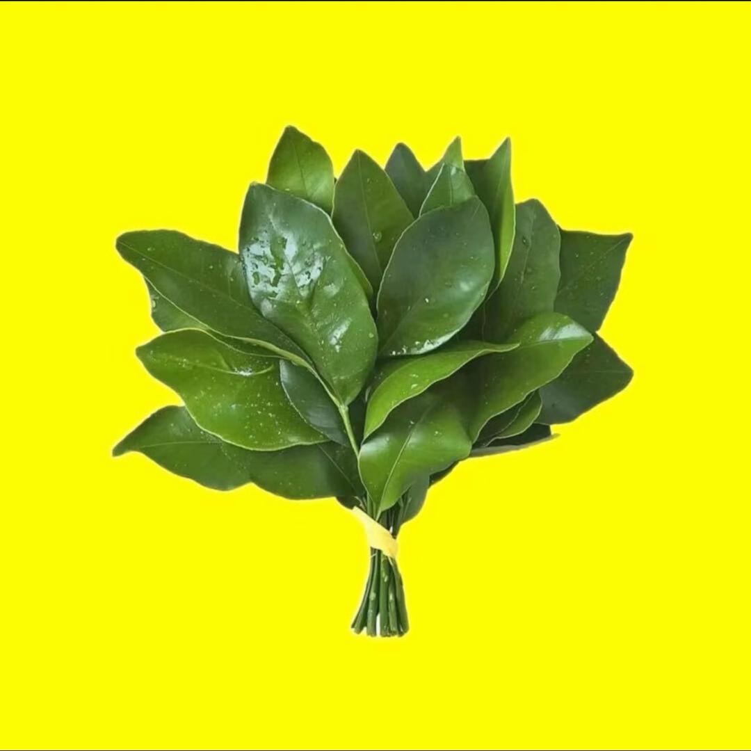 39妙龄小妈（三角洲行动）