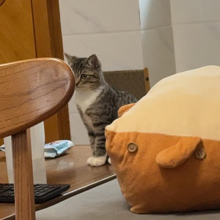 减减减肥肥肥