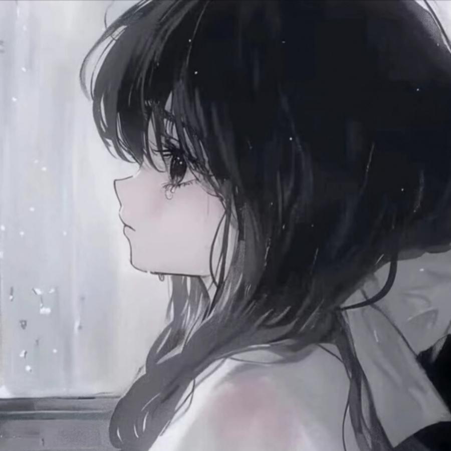 文文不爱吃菜