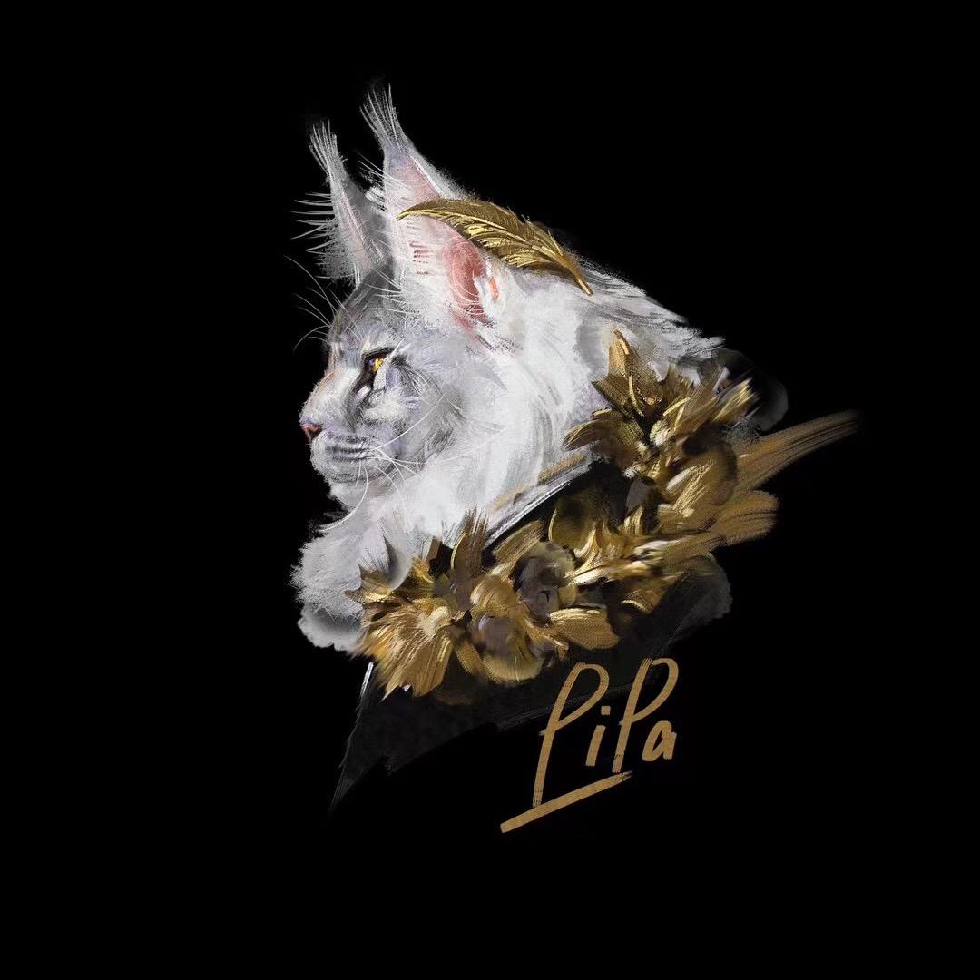 缅因猫食堂