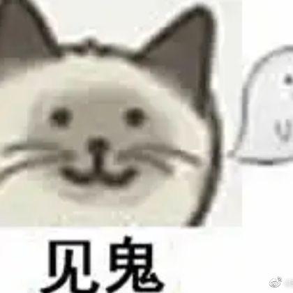 Fiterstal头像