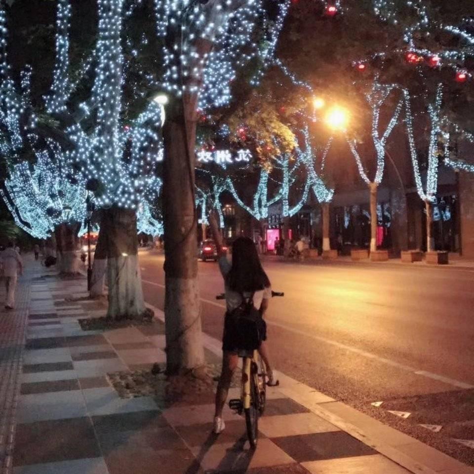 仙女爱挖宝💫