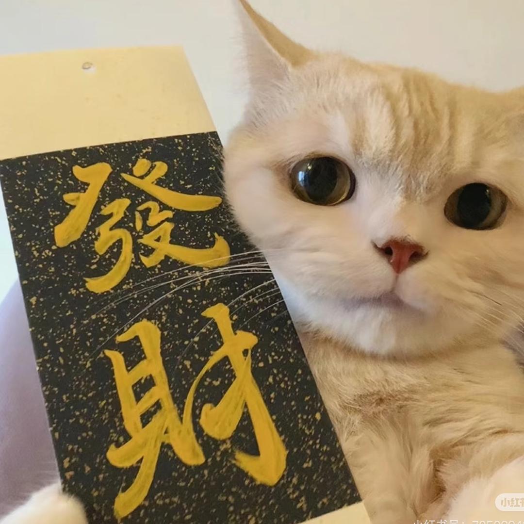 不会拍抖音