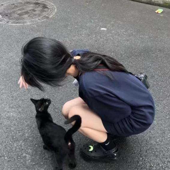 周六见^