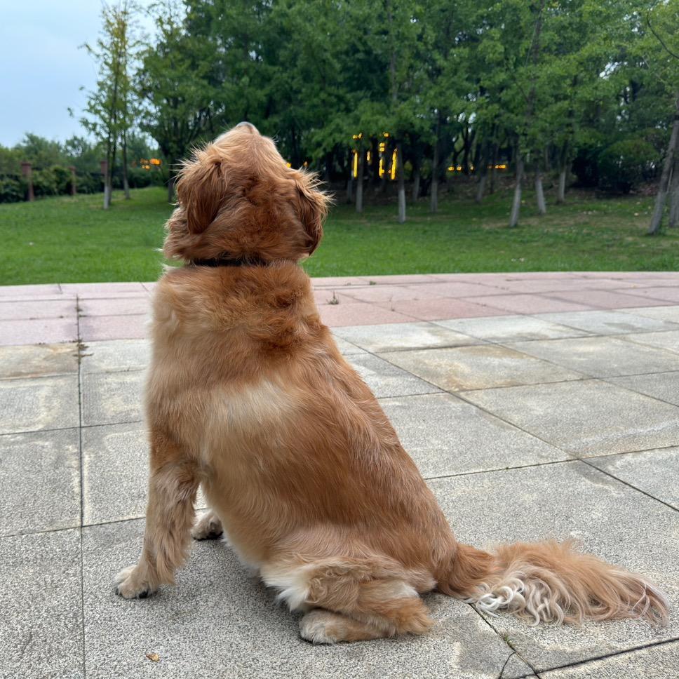 聪明勇敢有力气🫡