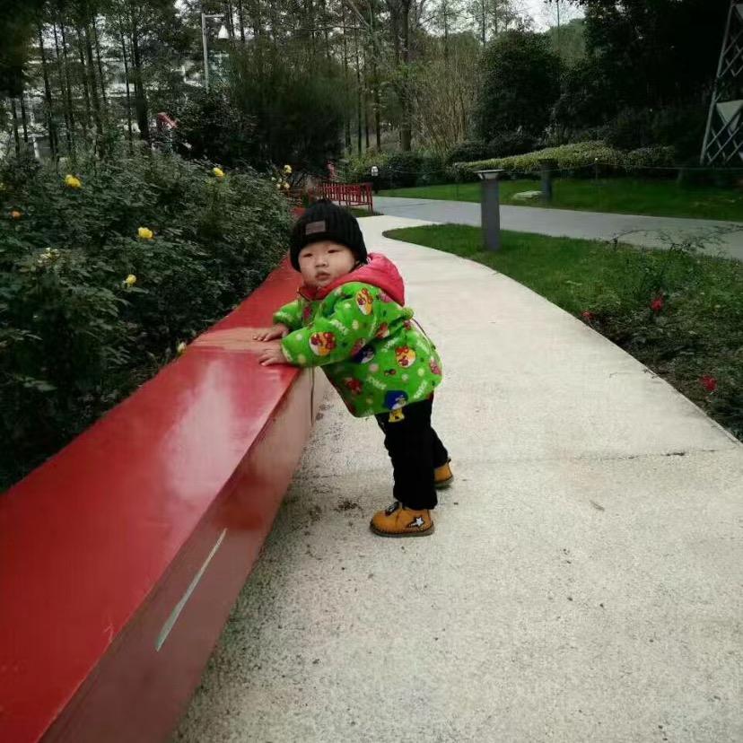 小李爱养花