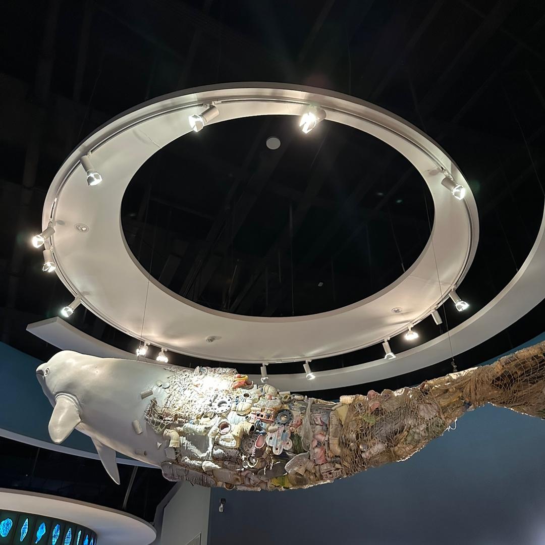 谢英俊（三角洲行动）