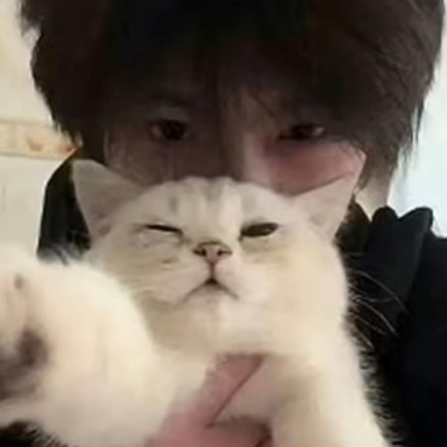 🍒+🍒仙女不讲理🍒+🍉