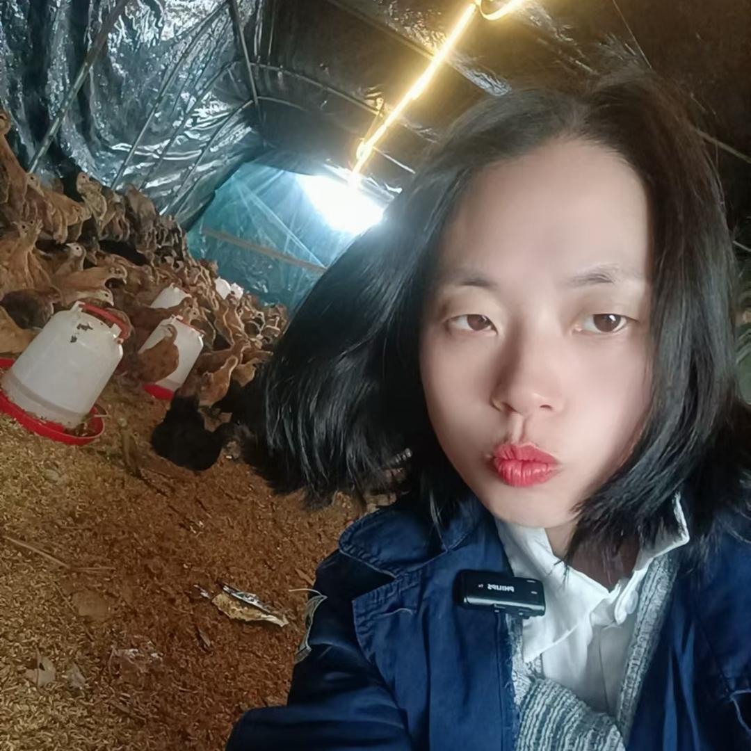 内江威远马道村养鸡的何二妹