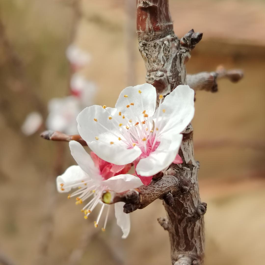 看见三亚•善良小英雄