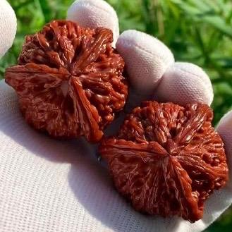 吉祥文玩核桃回血