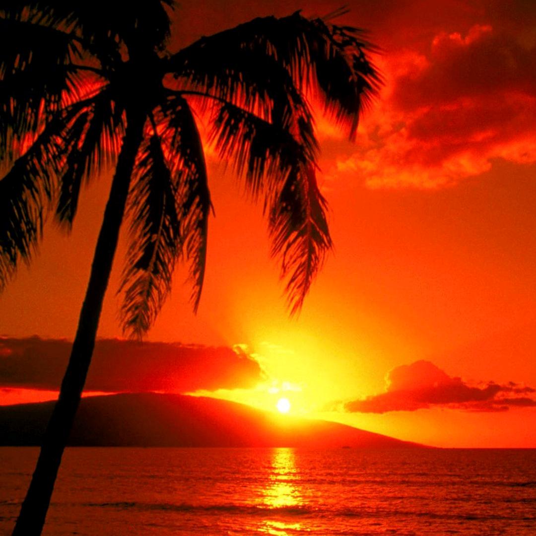 无忧