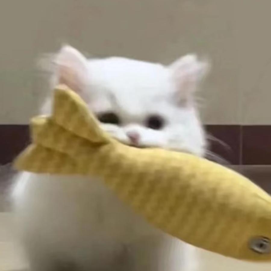 小婚