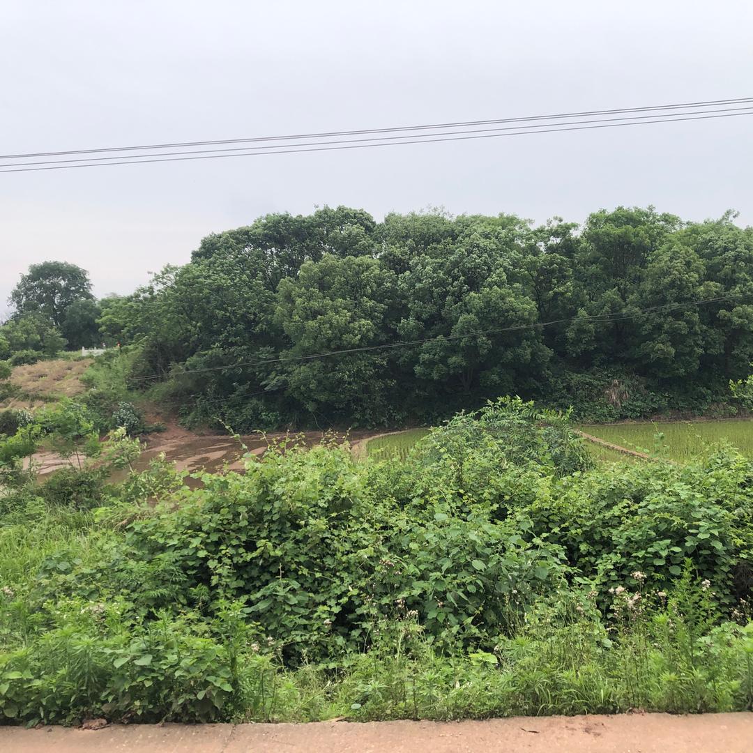 柏合真皮柏合真皮职工直播号