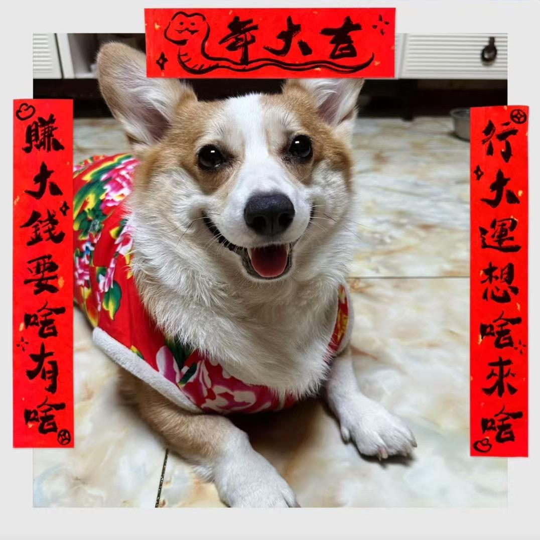 可乐可乐