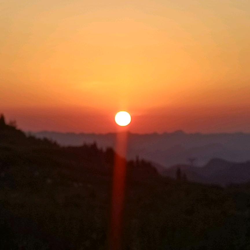 杜师装饰
