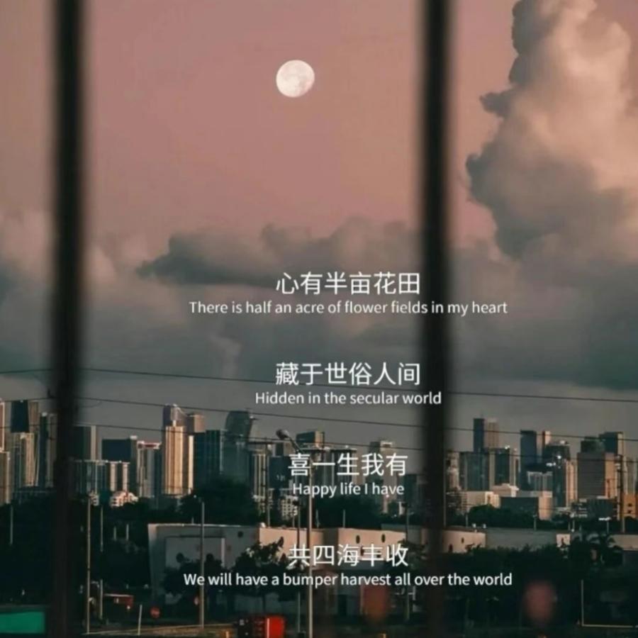 从此不谈情