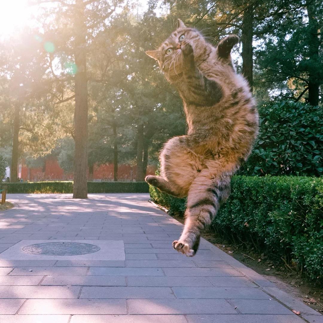 106短信群发矿主