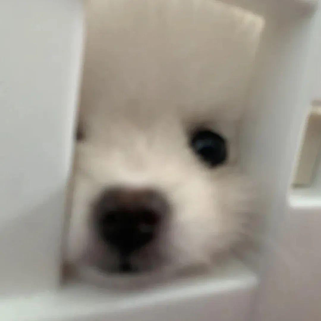 嘟嘟嘟