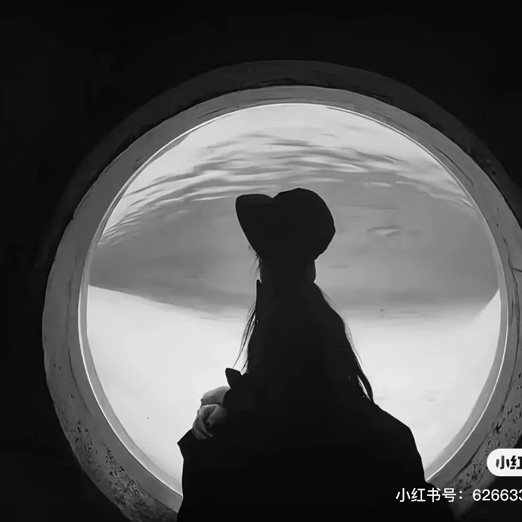 酸甜梅子