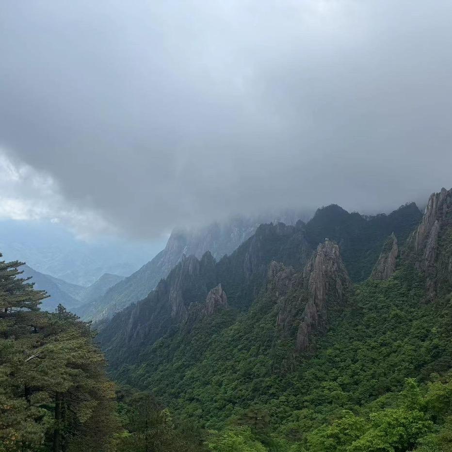 努力的人最优秀