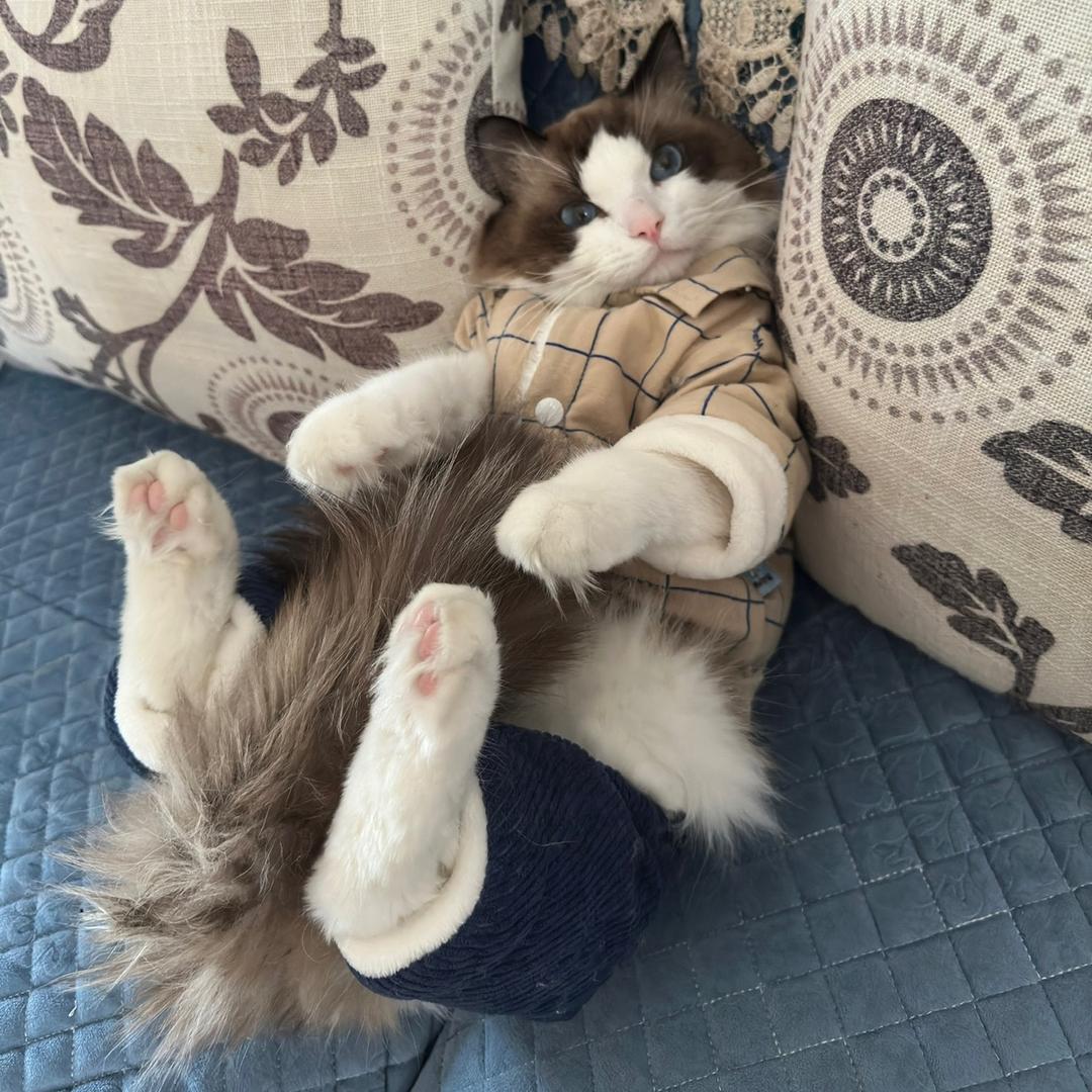 ⬆️⬆️⬇️⬇️⬅️➡️⬅️➡️BABA