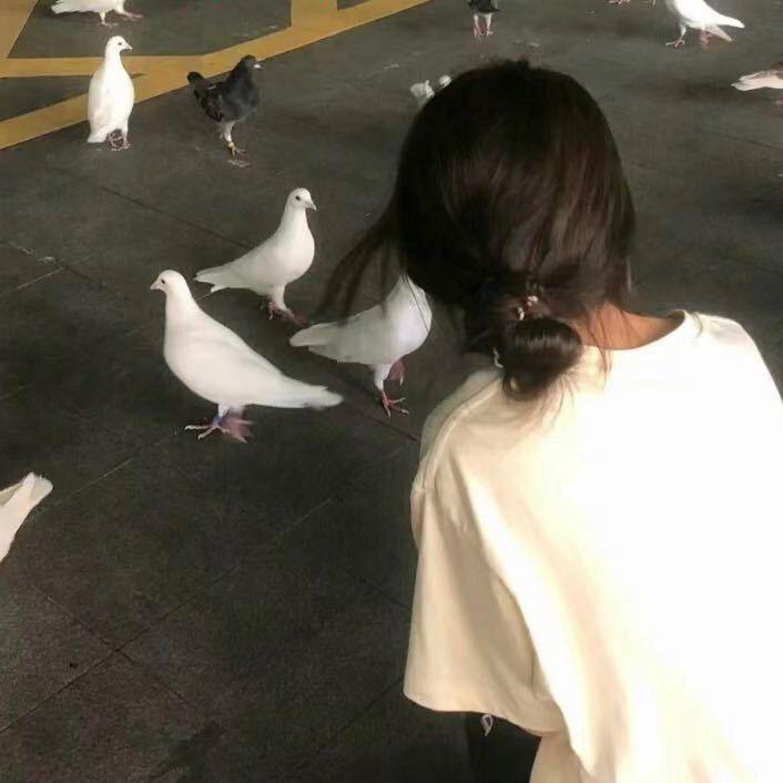 蝉粤百货