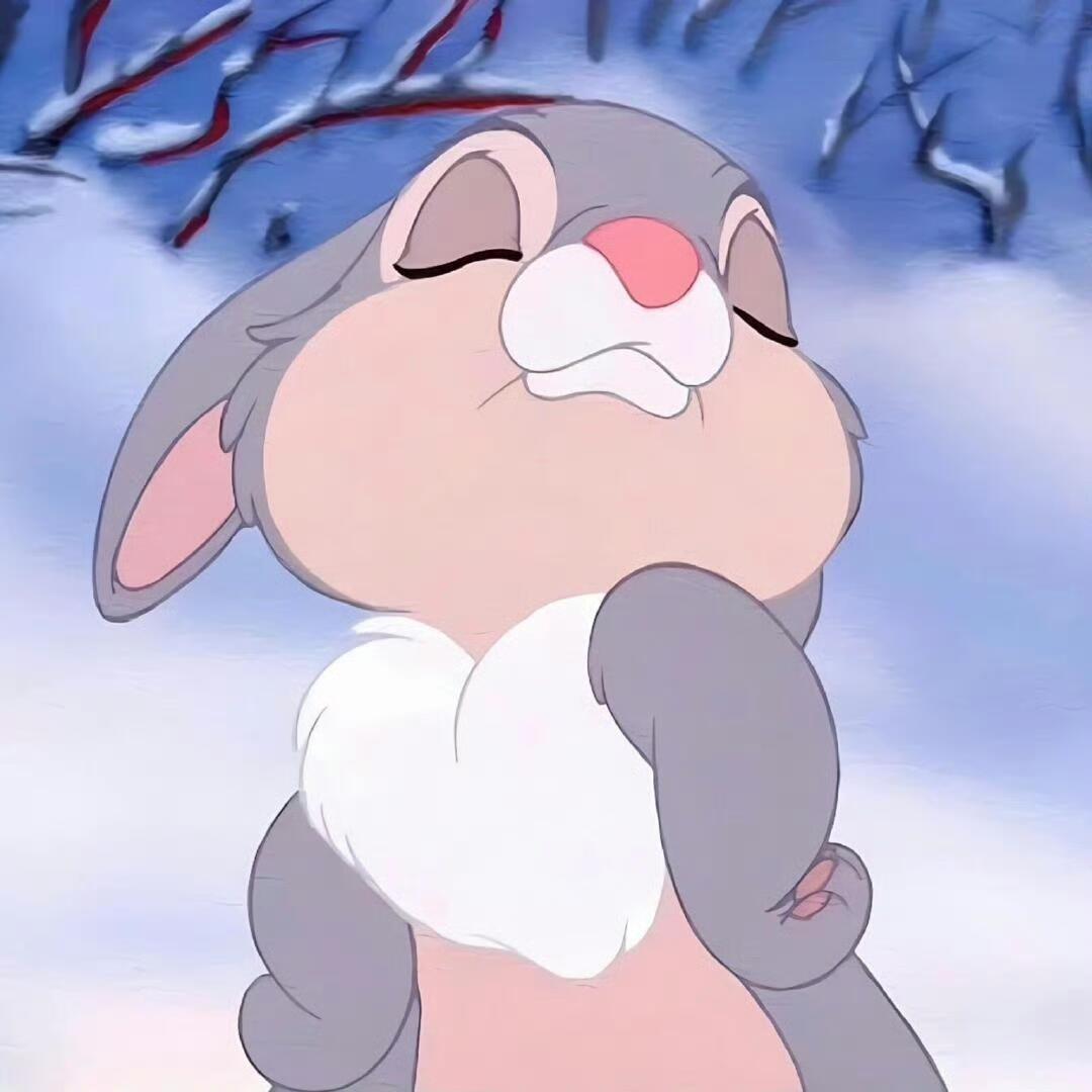 一只兔彤_