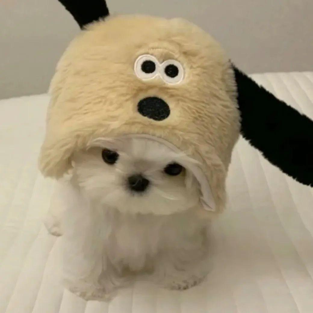 重生之废物考公